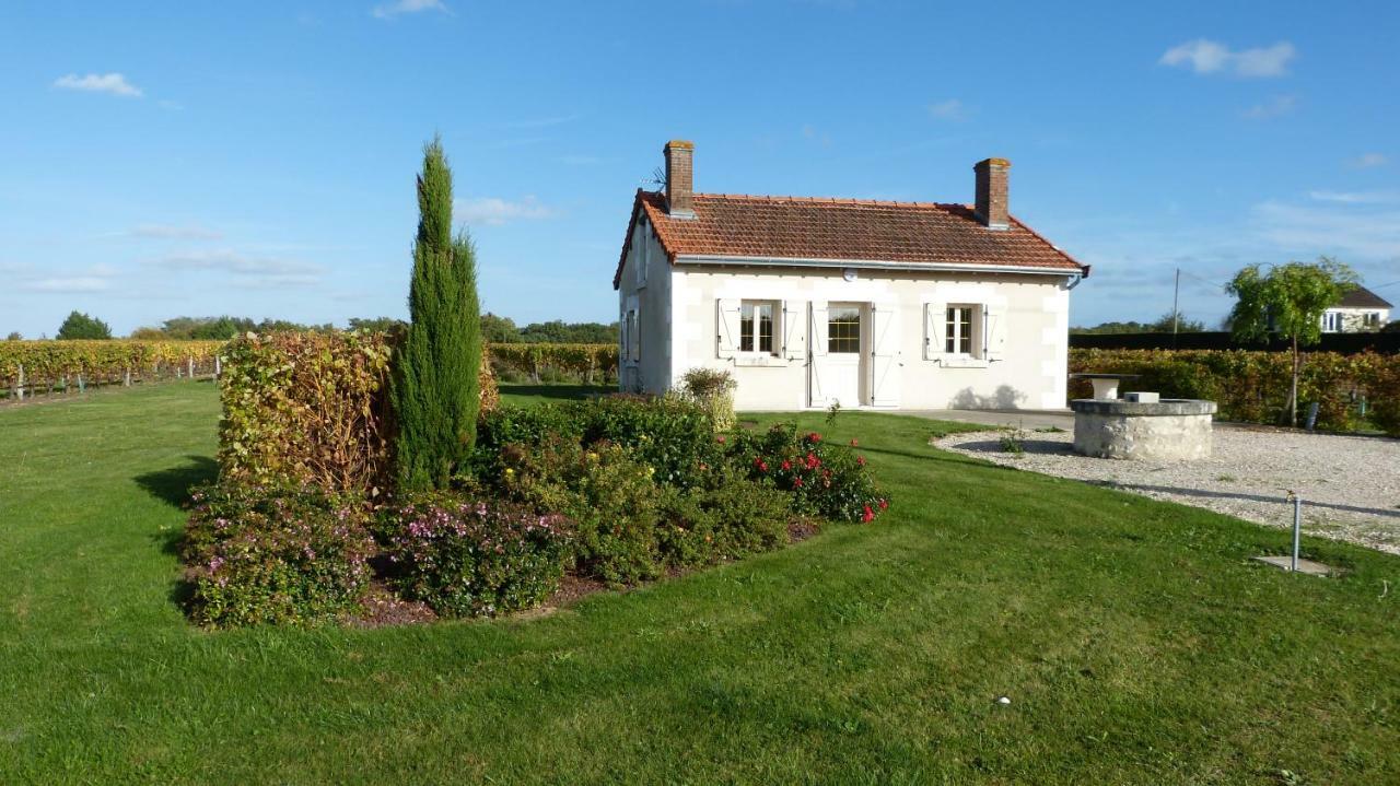 L'Ecrin Au Coeur Des Vignes Villa Saint-Georges-sur-Cher Eksteriør billede